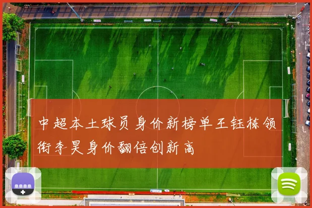 中超本土球员身价新榜单王钰栋领衔李昊身价翻倍创新高
