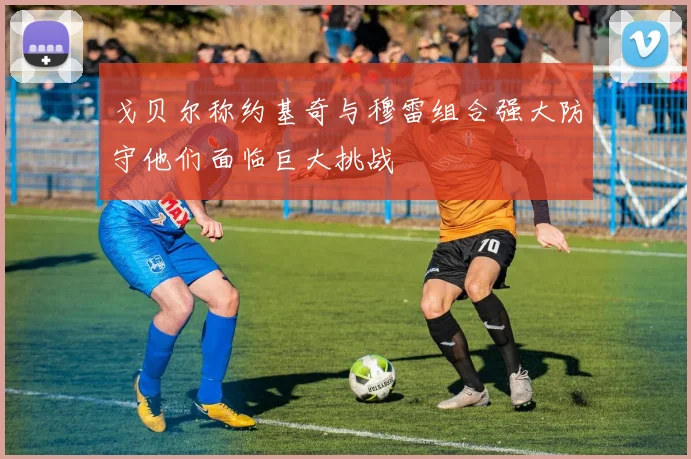 戈贝尔称约基奇与穆雷组合强大防守他们面临巨大挑战
