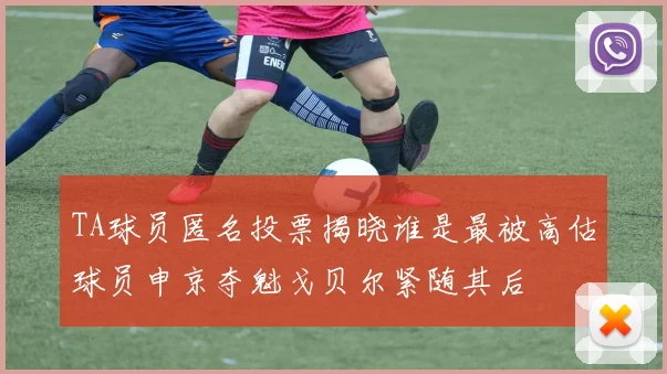 TA球员匿名投票揭晓谁是最被高估球员申京夺魁戈贝尔紧随其后