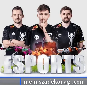 乐鱼体育 APP(LEYUSPORTS)